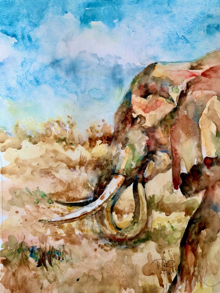 Elephant